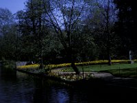 Syon Park London 2